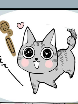 有猫的生活韩国漫画漫免费观看免费
