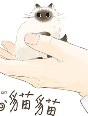 掌心猫猫韩国漫画漫免费观看免费